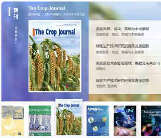 中國(guó)科協(xié)科技期刊集群中英文網(wǎng)站設(shè)計(jì)